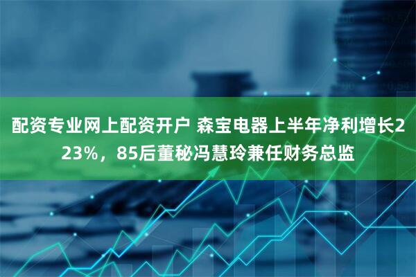 配资专业网上配资开户 森宝电器上半年净利增长223%，85后董秘冯慧玲兼任财务总监