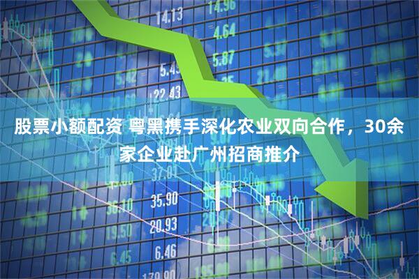 股票小额配资 粤黑携手深化农业双向合作，30余家企业赴广州招商推介